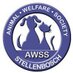 Animal Welfare Stb (@animalwelfarest) Twitter profile photo Animal Welfare Stb (@animalwelfarest) Twitter profile photo