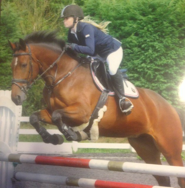 Full time groom! Show jumper/eventer :)
