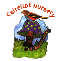 CairellotNursery (@cairellot) 's Twitter Profile