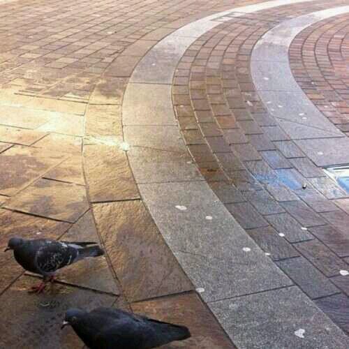 amal449971's profile picture. يَ كُل أُمنياتِنا صَبراً فَإن ربُنا مُجيبّ .