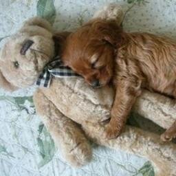 Datingfailures's profile picture. Here to share people's dating mishaps and embarrassing moments-including mine!!! Message me your story and I'll anonymously post it! #TeamFollowBack