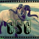 csc (@1954_csc) Twitter