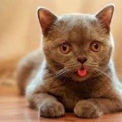 Friendship is like peeing on yourself: everyone can see it, but only you get the warm feeling that it brings. Anonymous