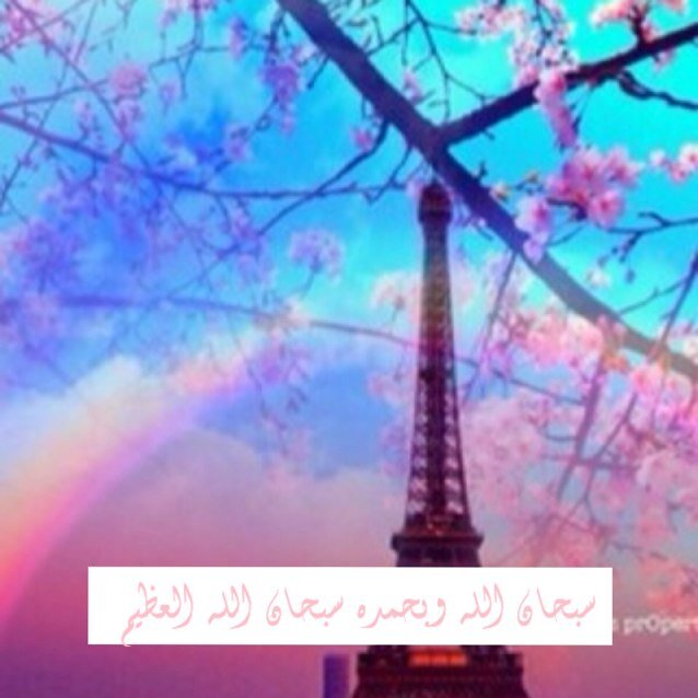 ‏سويت لك فولو واسعدتك ؟ طيب قول لا اله الا الله ، لاتتابعني هنا تابعني هناsaloOo__m@ سويت فولو! '( طيب جعلك الجنه *استغفر الله العظيم*