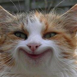 amin7kafi's profile picture. 