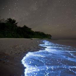 Ehhhhhhhoooooo's profile picture. 