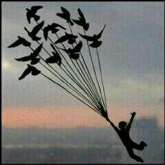 ‏‏‏‏‏لست اشكل نفسي وفق أهـواء الاخرين ... إن اعجبتهم فهذآ طبعي .. و إن لم أعجبهم فـ /كثيرة هي الجدران ...K S A'- الهلال