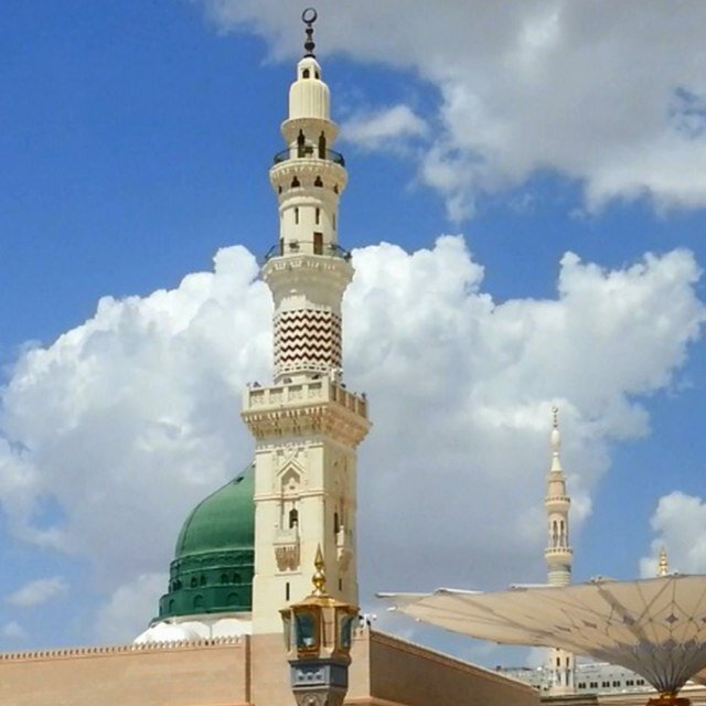 وداعيا الى الله بإذنه، شغوف ب #العبقرية واكتشاف وتنمية #المواهب،#عثمانياتX مدونتي،شريك ومؤسس TBS و OG