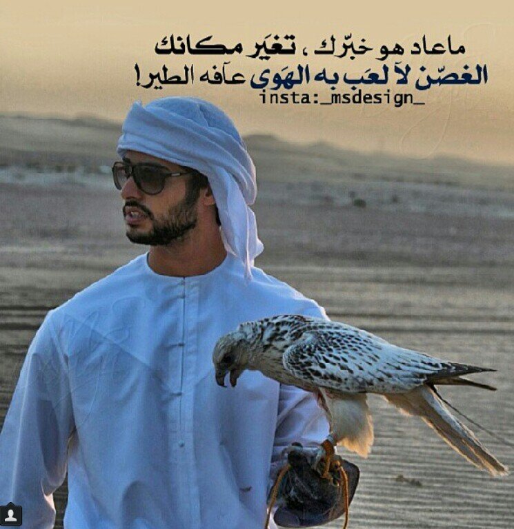 ‏‏حناا من يومنا أسياد وسلاطين☆