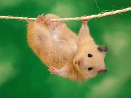 always hanging around