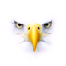 RCC (@rconderman) Twitter profile photo RCC (@rconderman) Twitter profile photo