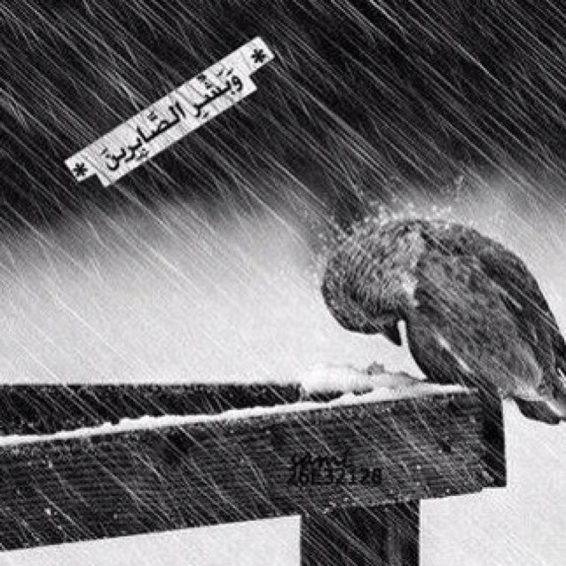 اللهم اشف مرضانا ومرضى المسلمين وارحم موتانا وموت المسلمين