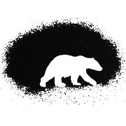 Polar Bear Profile