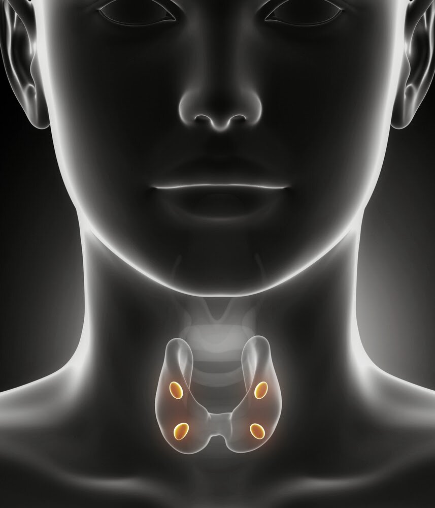 Hypothyroidism And Its Effects On Your Body And Also The Natural Treatment For Hypothyroidism.http://t.co/8ju8oJVDD6