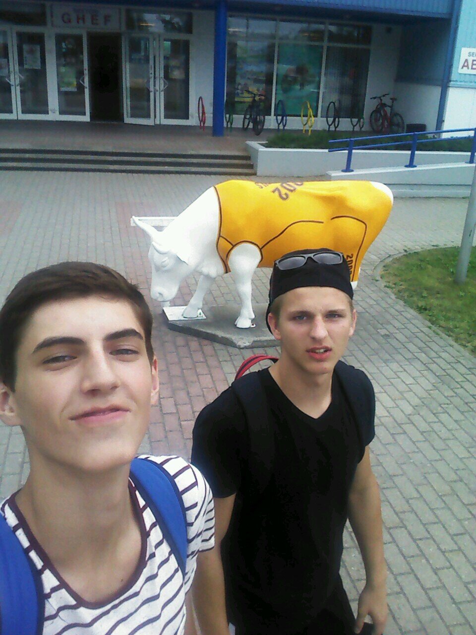 niedra18's profile picture. 