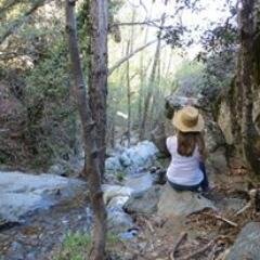 Writer. Animal lover. Watercolourer. Follower of Christ.