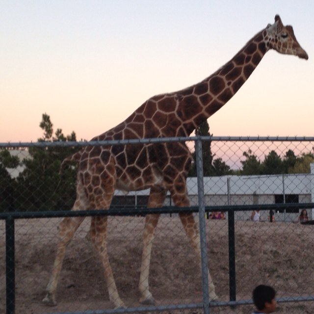 BrackettTe's profile picture. 