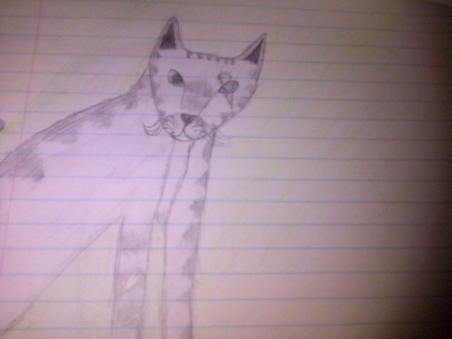 I'm halve blind. mum: @Tina55879677. Theme song: They #female #Single kits: @awdorablekitten @berry_kit21
