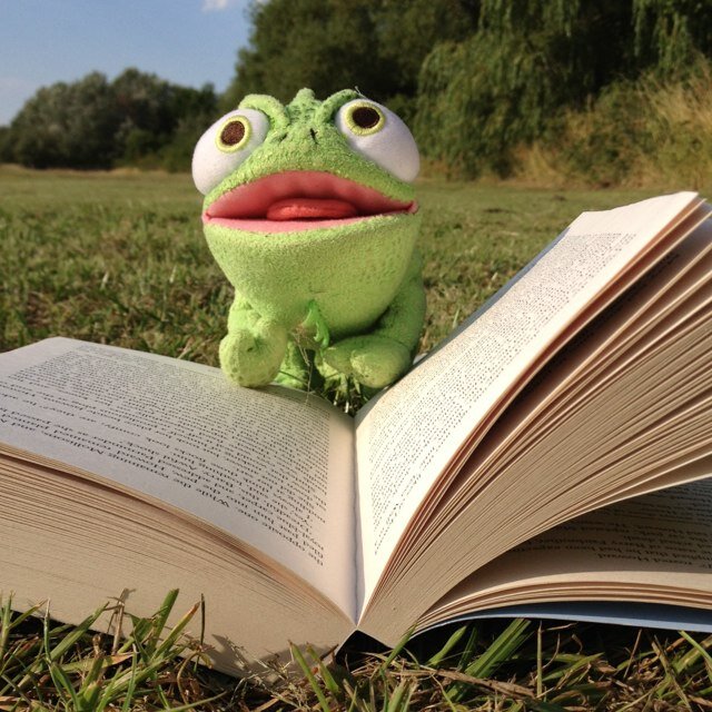 100DaysOfPascal's profile picture. Bringing you 100 days of the lovable chameleon... PASCAL! Follow Pascal and his adventures as he travels around meeting weird and wonderful people.