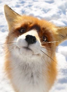 natasch31635001's profile picture. 