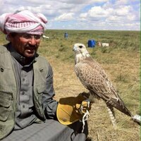 فيصل بن تركي النواف (@faisaltrke) Twitter profile photo