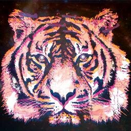OlivierSuNSeT's profile picture. 