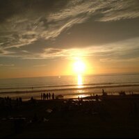Michele Williams (@mwilliams1240) 's Twitter Profile