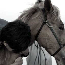 koenyitz's profile picture. simple. loves books, adventures, and adventurous life.