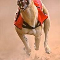 ian wilburn (@ianwilburn1) 's Twitter Profile Photo ian wilburn (@ianwilburn1) 's Twitter Profile Photo