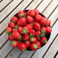 André Mouraux (@spigoo) 's Twitter Profile