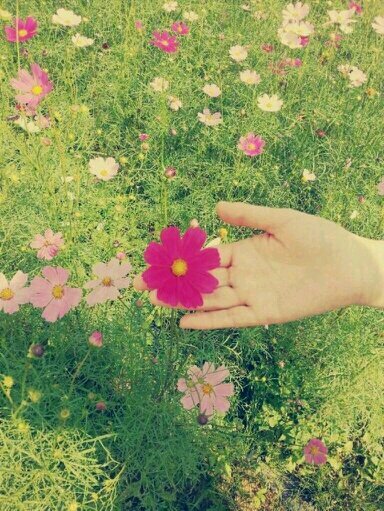안녕하세요:^) 제 이름은 유희선이에요.