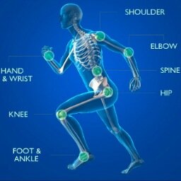 SportsDrBraun's profile picture. Orthopaedic Sports Surgeon