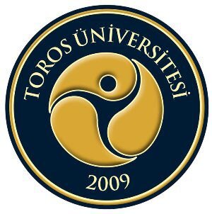 TOROS ÜNİVERSİTESİ GÜZEL SANATLAR FAKÜLTESİ