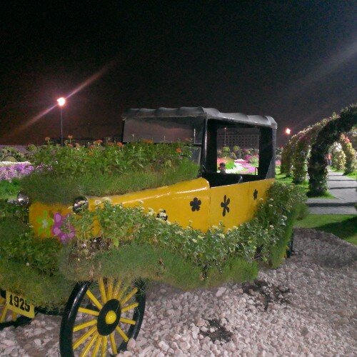 omarohm_77's profile picture. 