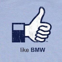 medniss's profile picture. 