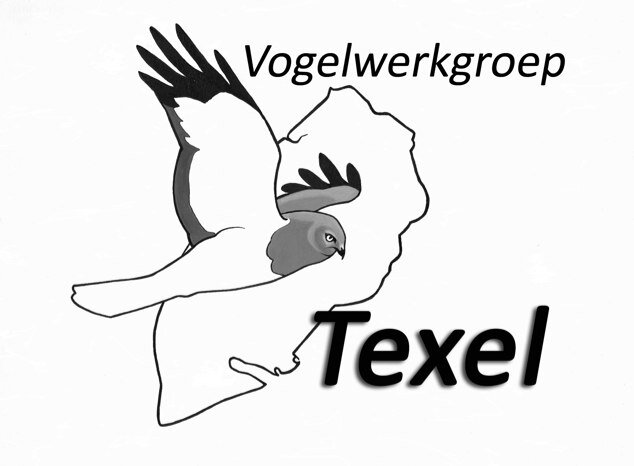 vogelwerkgroep Texel is er voor alle vogels op Texel. Word lid en steun ons. Of beter: doe mee met onze activiteiten!