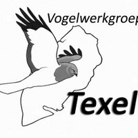 VogelwerkgroepTexel (@vwgtexel) 's Twitter Profile