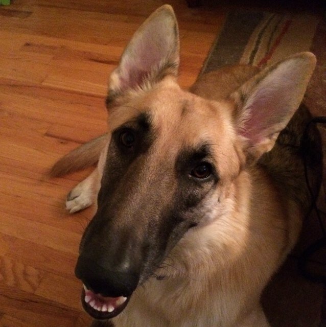 jdmoney9's profile picture. 