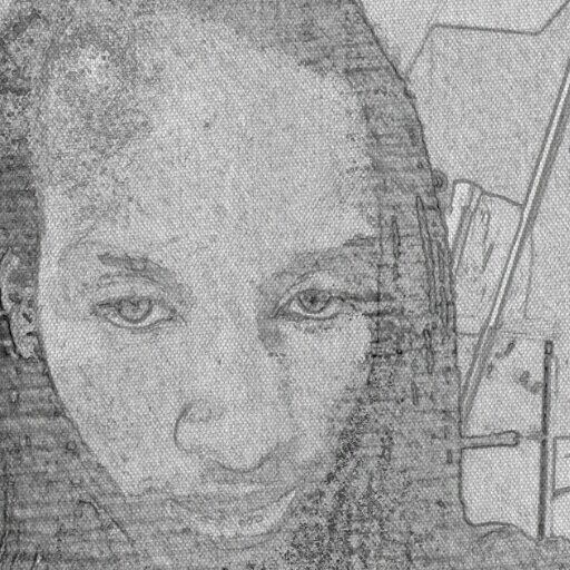 The only way 2 get 2 kno me is 2 follow me..