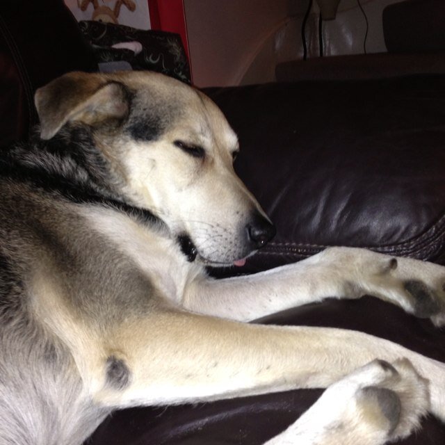 wittsy01's profile picture. 