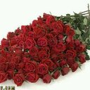 saad (@0507778478) Twitter