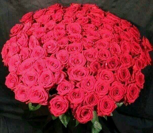 سوريه وبتنفس حريه (سوريه حره)