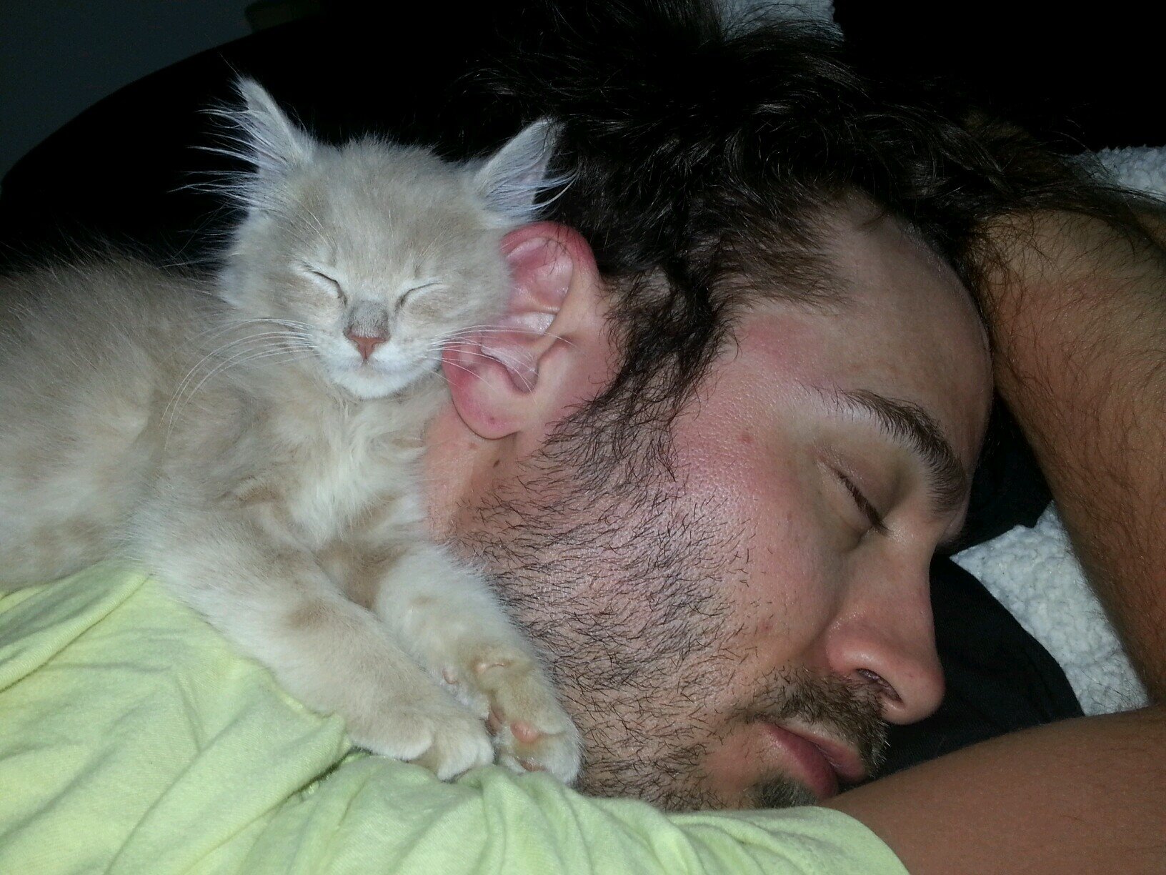 stevecostanza's profile picture. Things happen, and sometimes, im there...