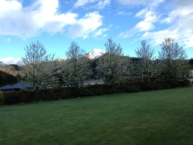 Aos4Thomas's profile picture. 