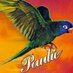 Paulie Parrot (@pauliemw) Twitter profile photo