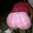 Profile Picture of Lexus Coleman (@@kenyatta_lexus) on Twitter