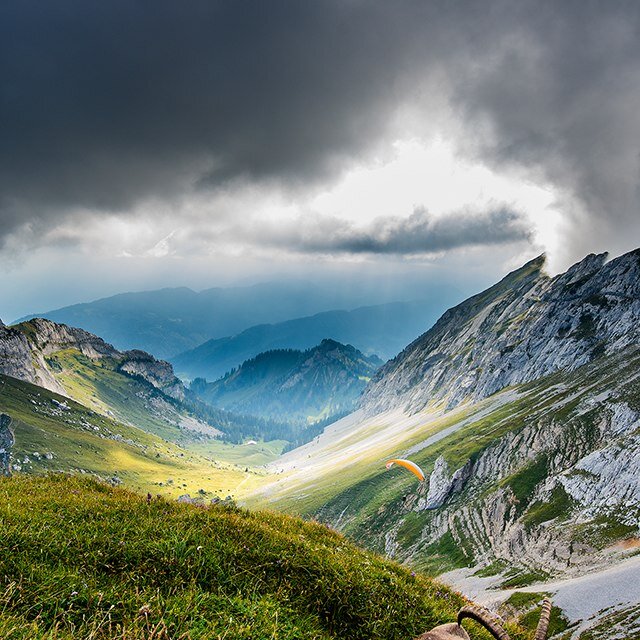 mouu_d's profile picture. 