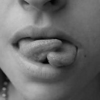 Voz Insolente (@vozinsolente) 's Twitter Profile Photo