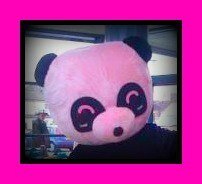 I'm a furry, funny, friendly fabulous pink panda, mascot for Distinction Twirlers of Medway!!!
