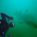 willy johnson - @fbwilly22 - Twitter